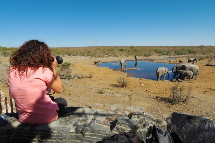 Observer la faune sauvage à Etosha, Namibie