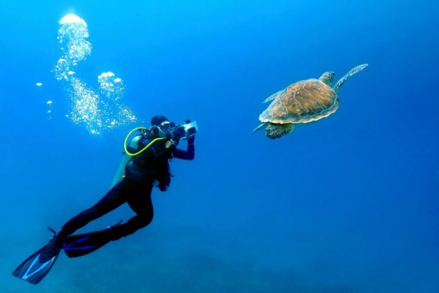 Photographe de plongée nageant avec la tortue de mer