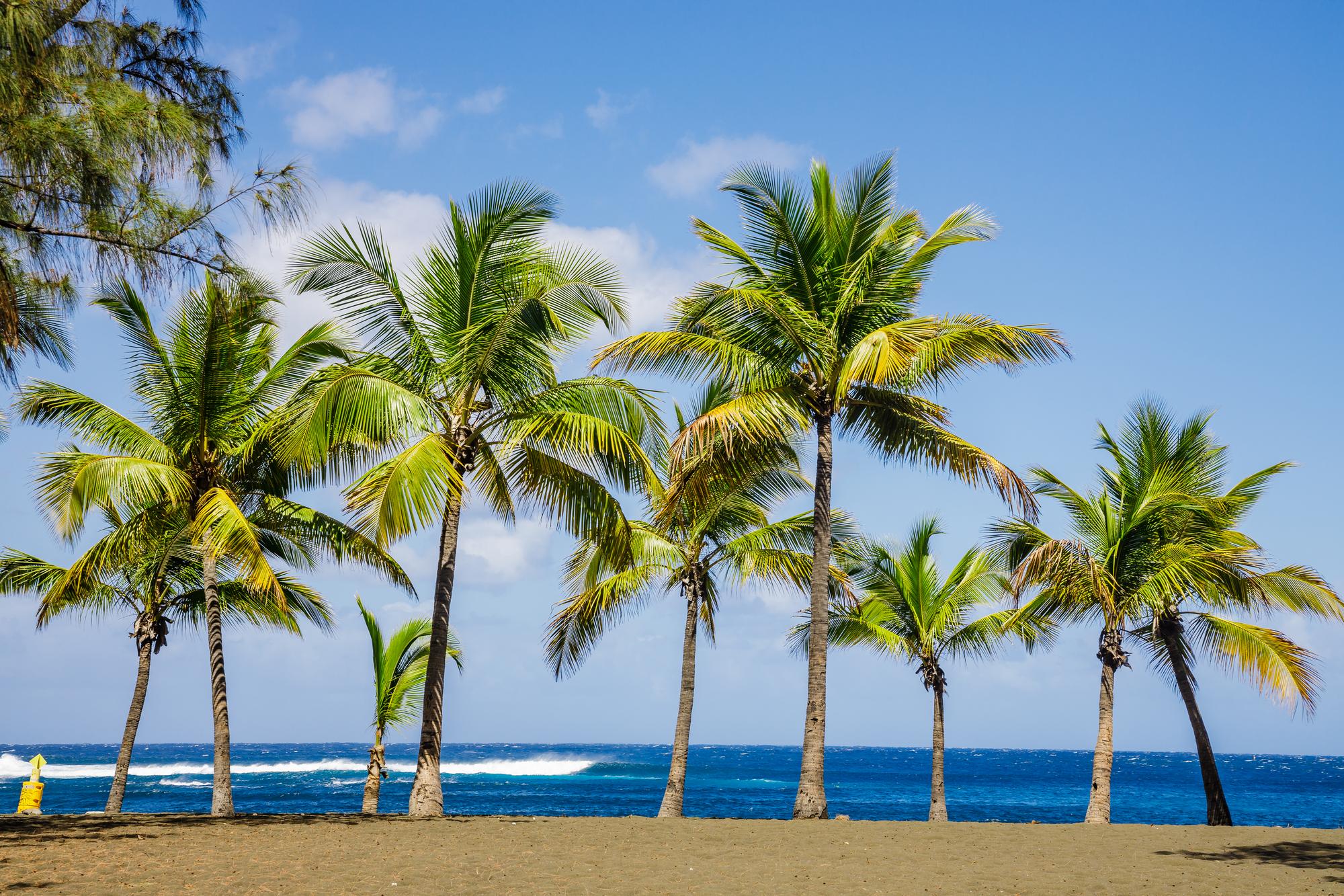 Plage de sable noir de l'Étang-Salé à La Réunion