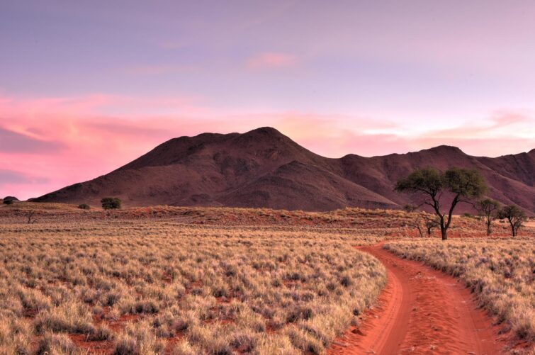 Randonnée dans la réserve du NamibRand en Namibie