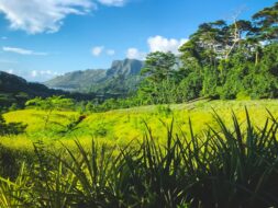 Randonnées dans les vallées montagneuses de Polynésie Française