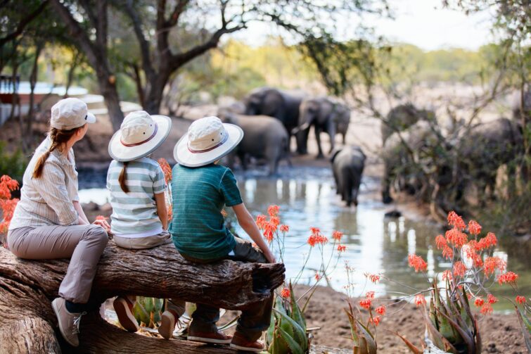 Safari en famille en Tanzanie
