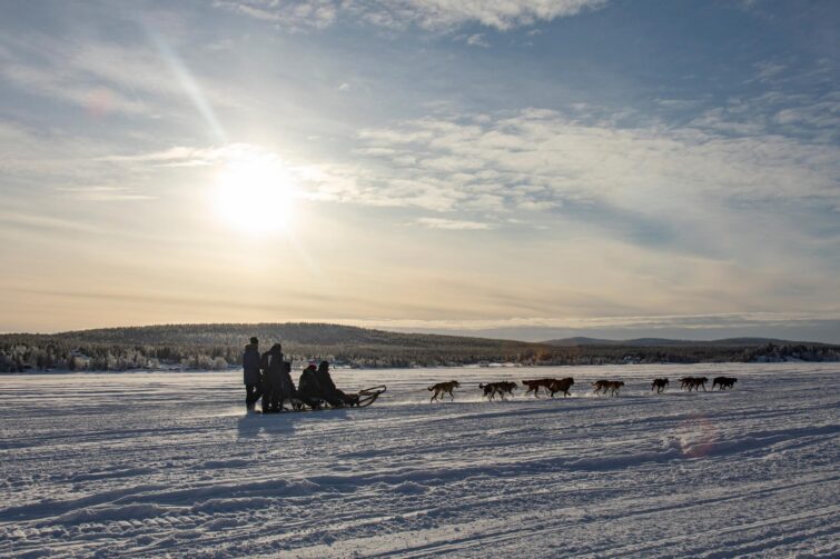 Safari en traîneau à chiens au départ de Kiruna, Suède