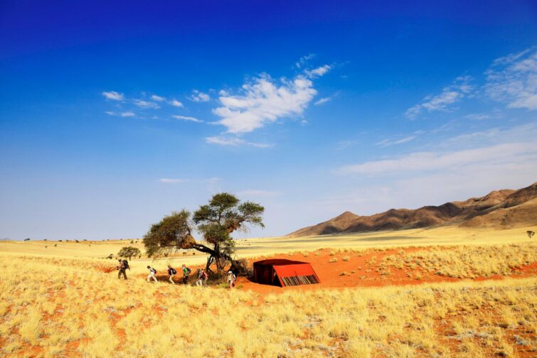 Traverser le NamibRand à pied, Namibie