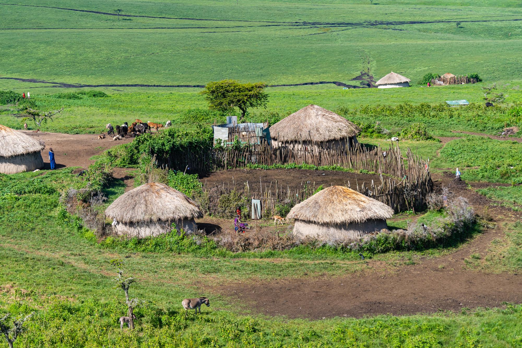 Villages Maasaï du Ngorongoro en Tanzanie