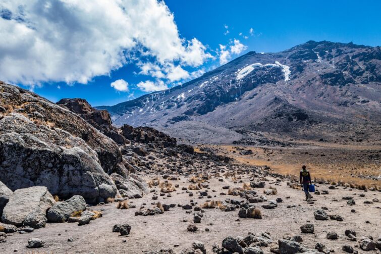 Voie Machame, trek pour le Kilimandjaro en Tanzanie