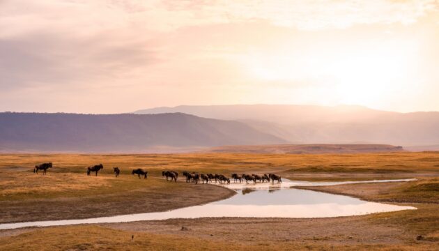 cratère Ngorongoro