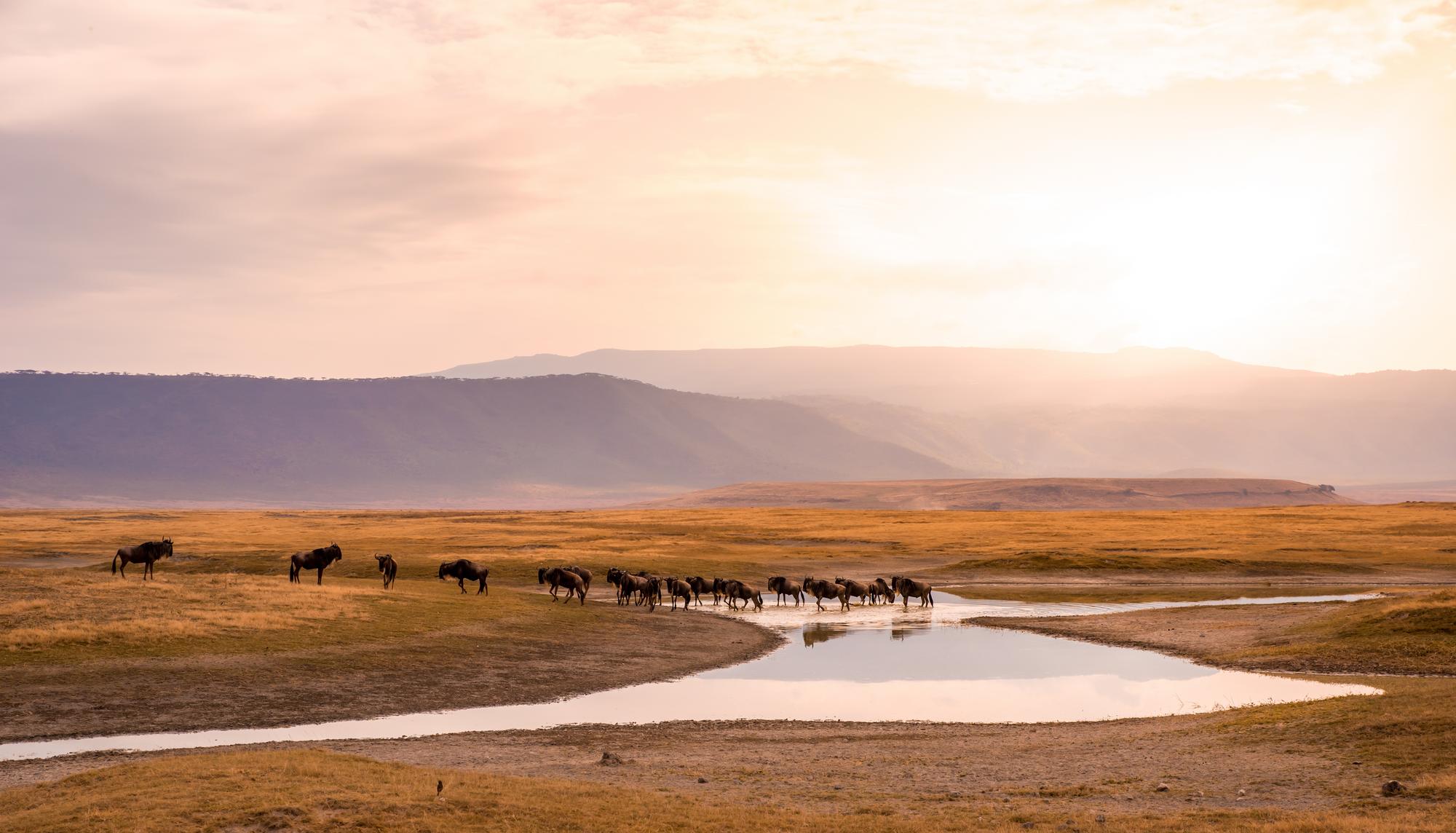 cratère Ngorongoro