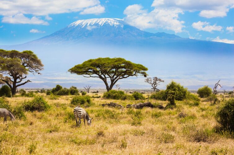 mont Kilimandjaro