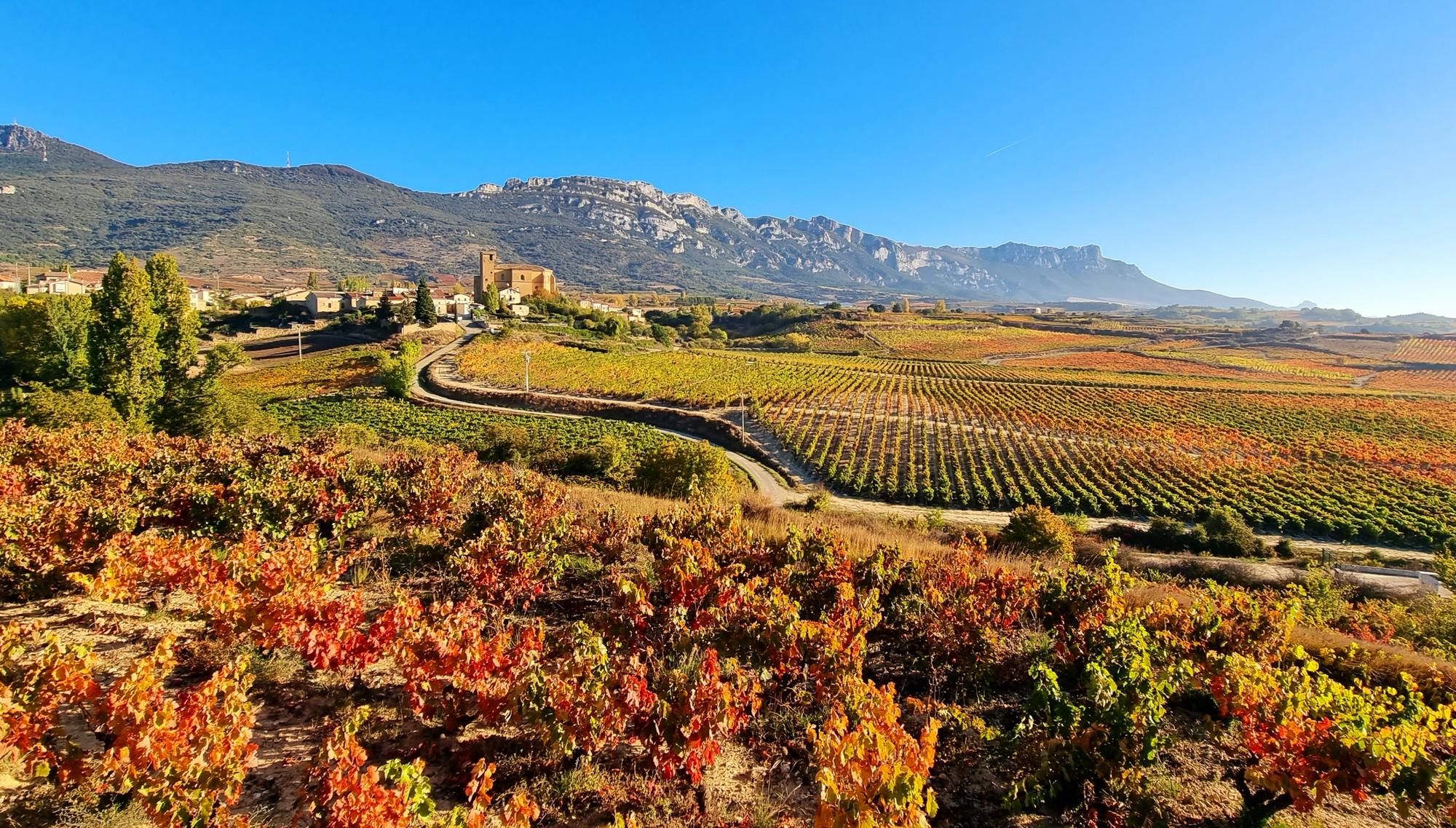 vignobles Rioja