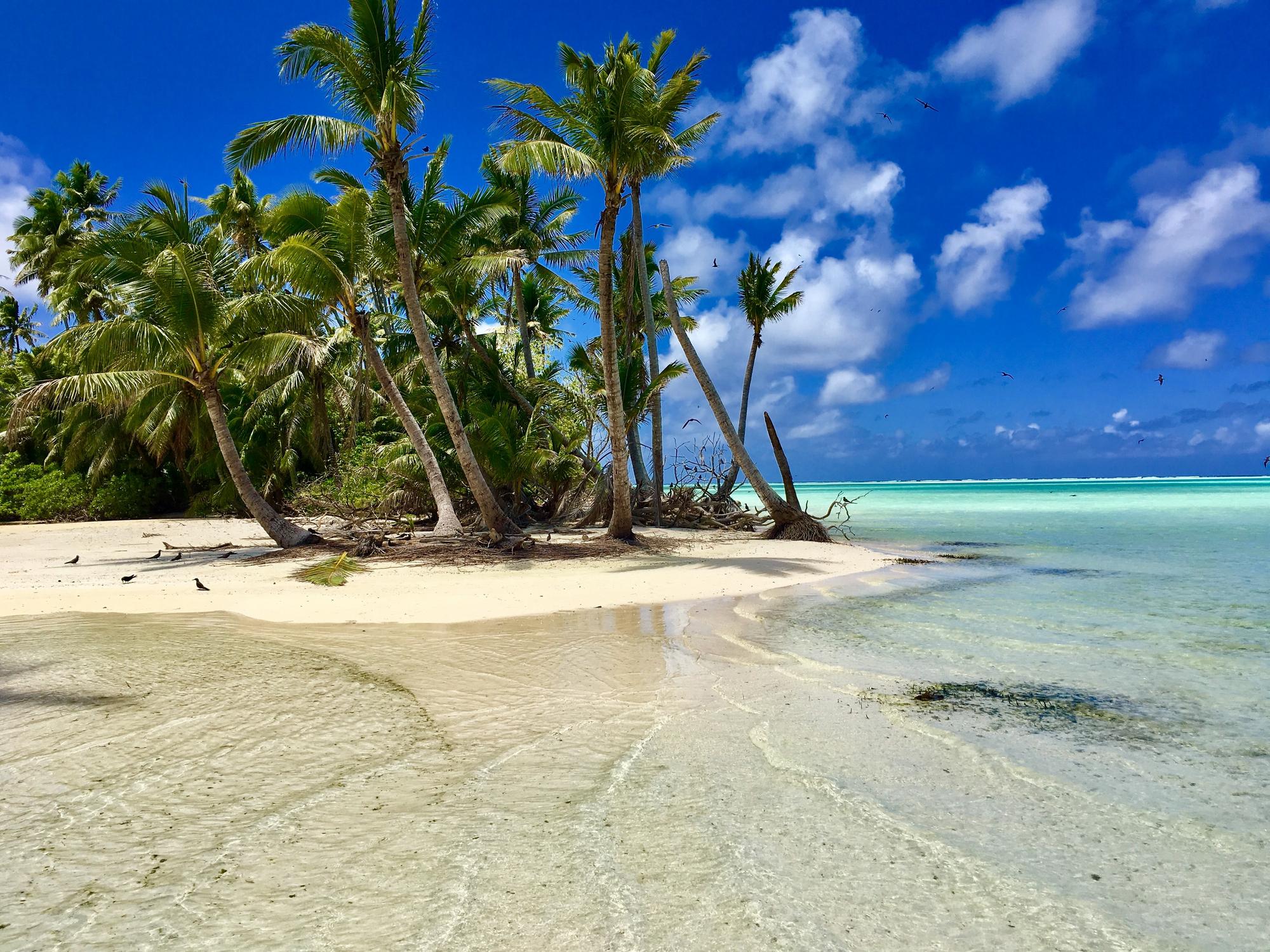 Atoll de Tetiaroa, Tahiti, Polynésie Française