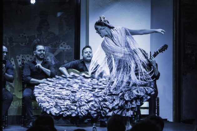 Flamenco au tablao El Arenal