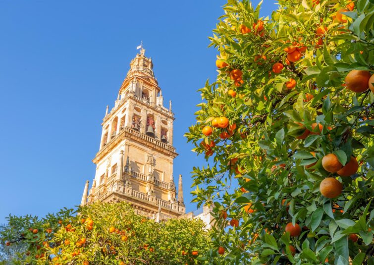 La Giralda et la cour aux orangers à Séville, en Espagne