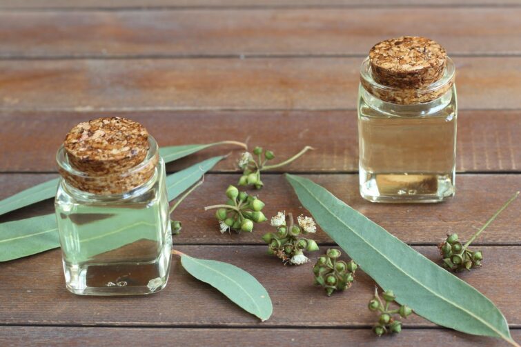 La distillation d’huiles essentielles d'eucalyptus à La Réunion