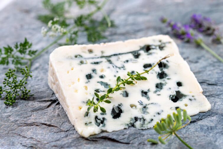 Le Roquefort, fromage régional à déguster sur le chemin de Saint-Jacques-de-Compostelle