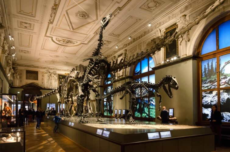 Les dinosaures du Muséum d'histoire naturelle de Vienne