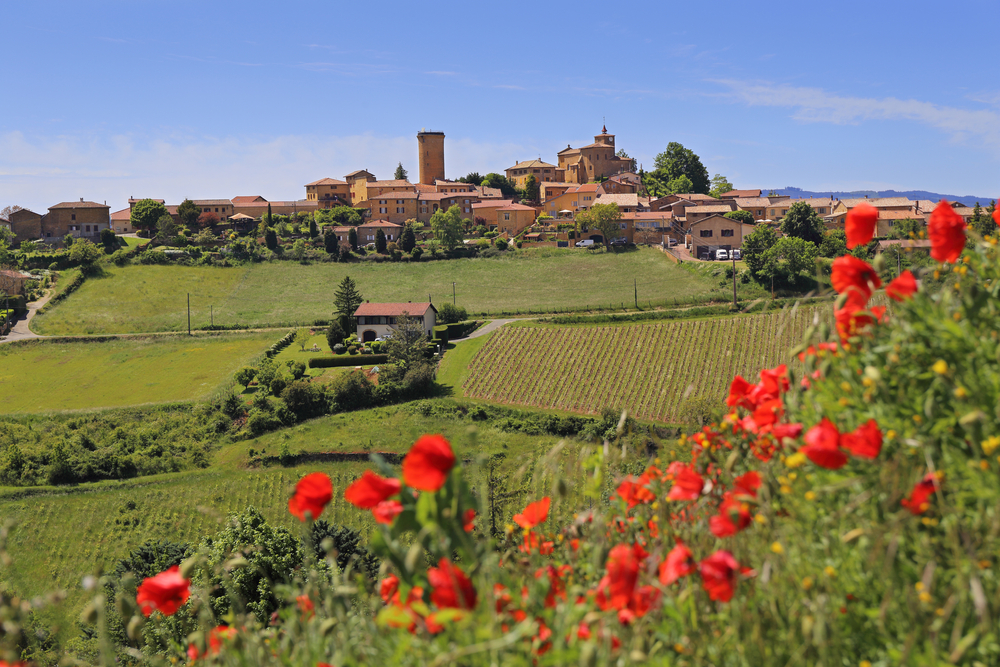 Les vignobles d'un village du Beaujolais en Auvergne-Rhône-Alpes