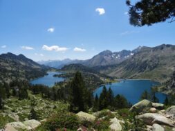 Randonnée Ours Pyrénées