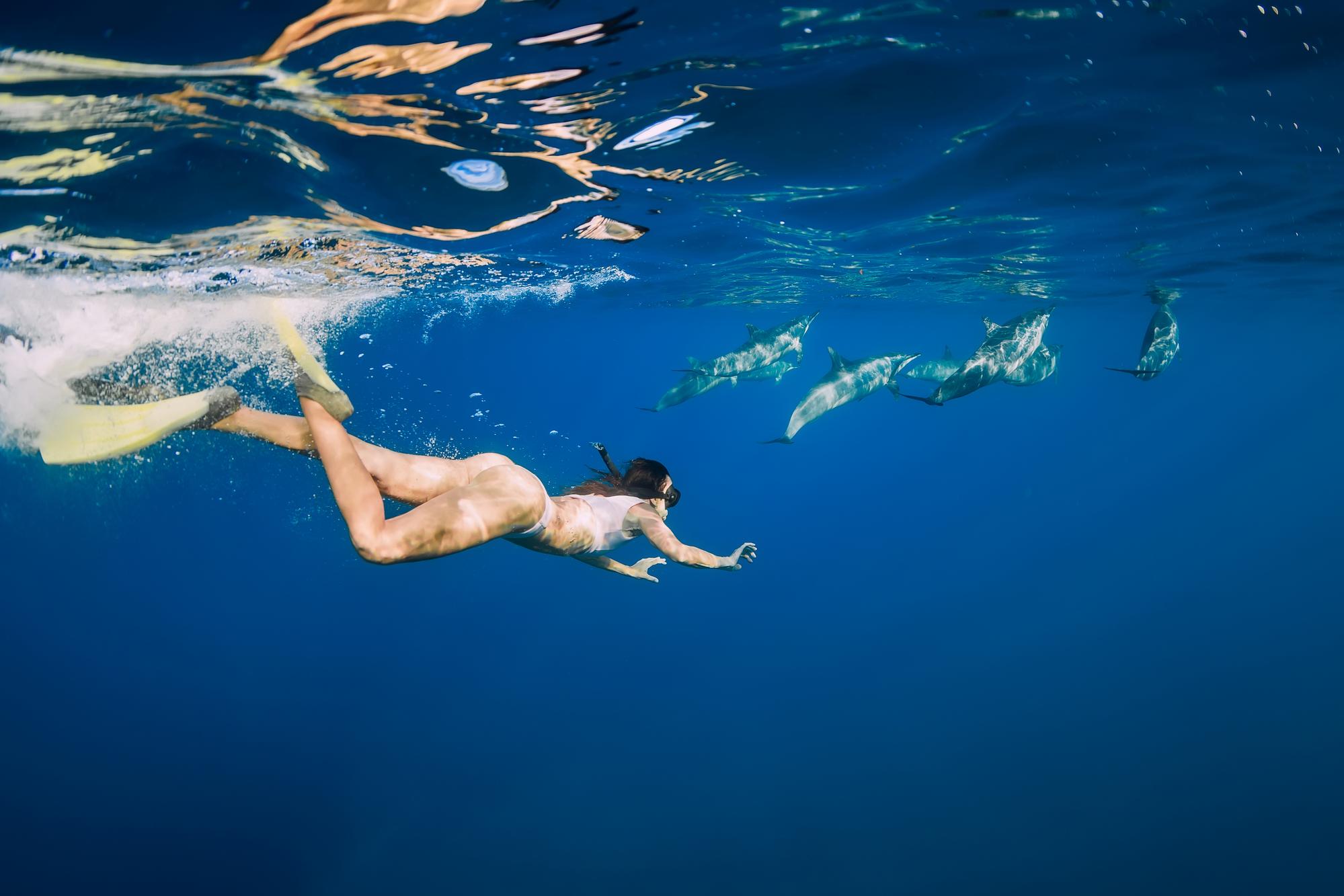 Snorkeling pour observer les dauphins à La Réunion