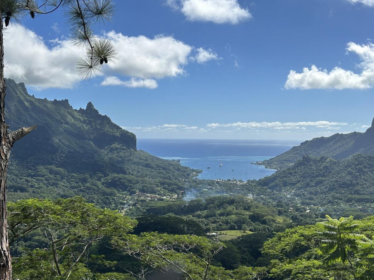 Superbe vue sur la baie de Cook à Moorea
