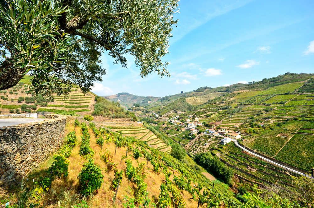 Vignes de la Vallée du Douro, Porto