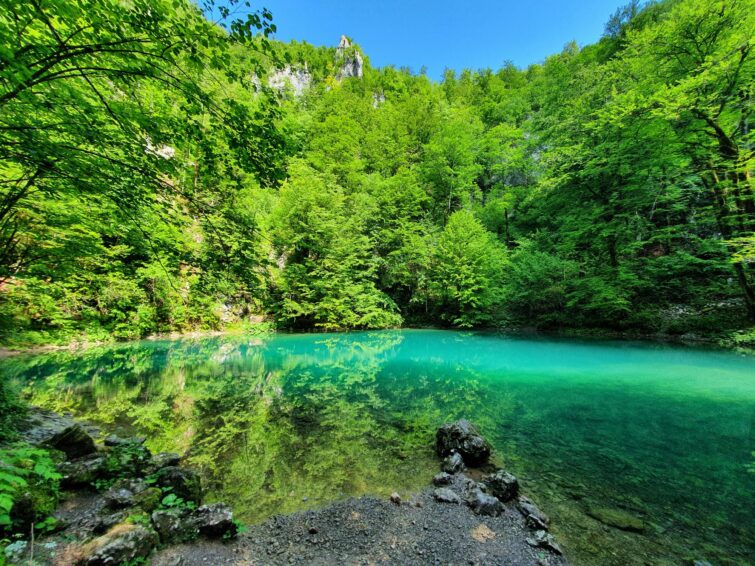 À la source de la Kupa, parc naturel de Risnjak, Croatie