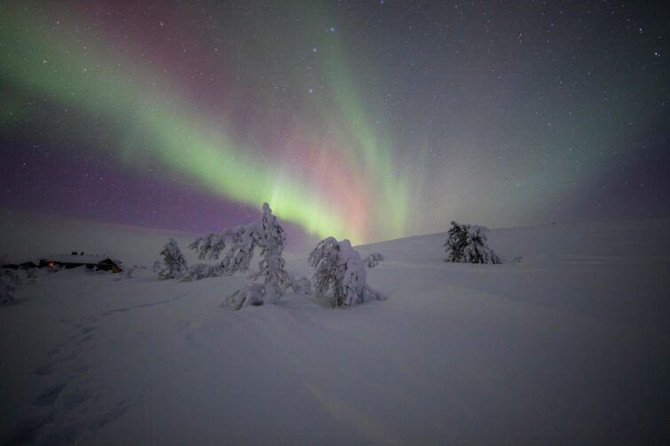 Aurores boréales dans le parc national de Pallas-Yllastunturi en Finlande