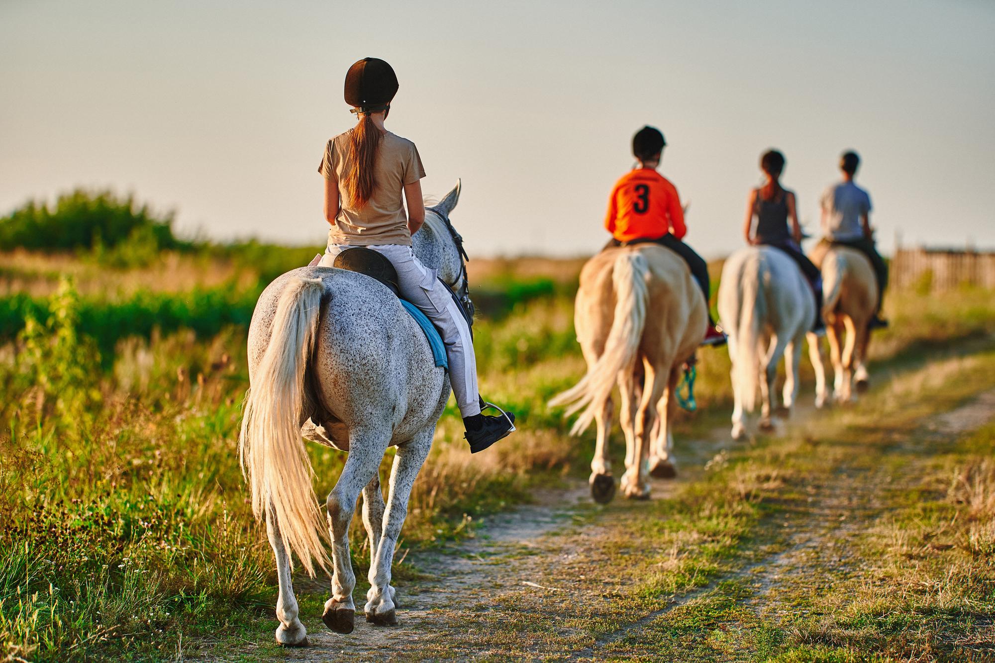 Balade à cheval