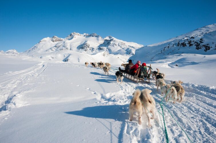 Chiens de traîneau à Tasiilaq