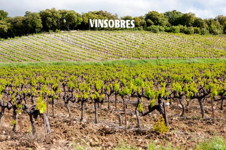 Domaine viticole à Vinsobres Drôme