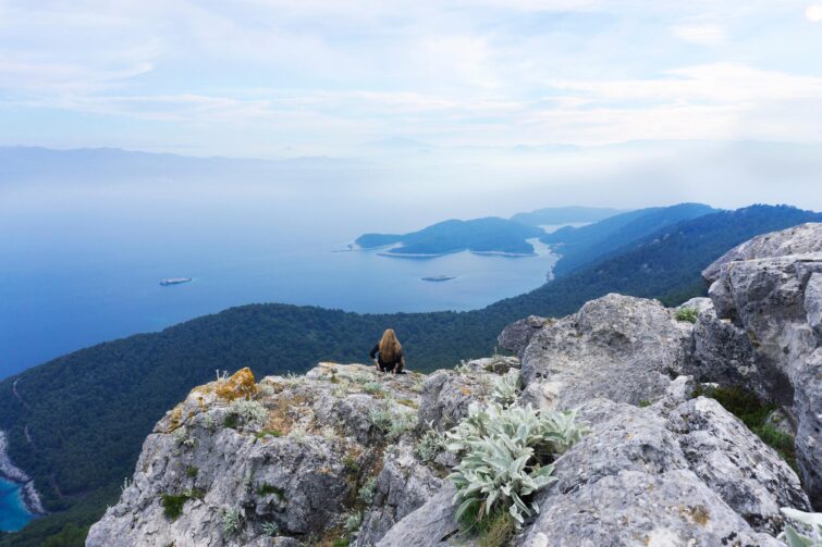 L'île de Mljet, Croatie