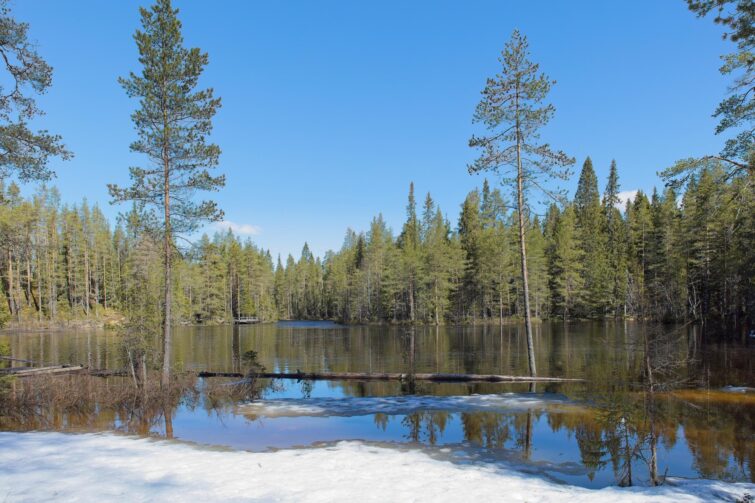 Parc de Hossa, Finlande