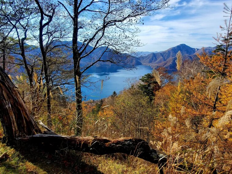 Paysage de montagne avec forêt et ciel clair à Nikko, Japon