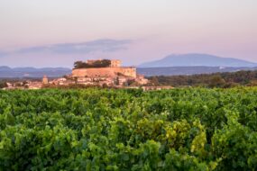 Vignoble de Grignan, dans la Drôme