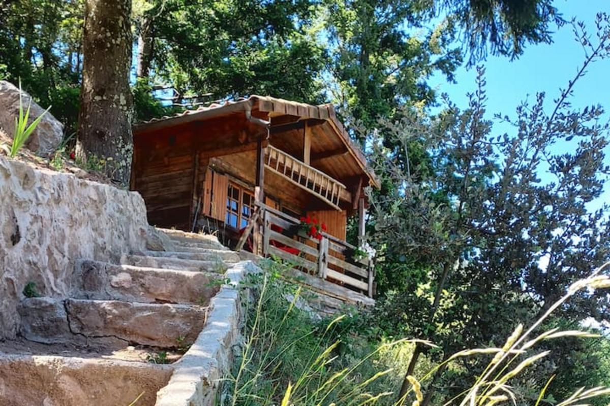 adorable-chalet-au-coeur-de-lardeche