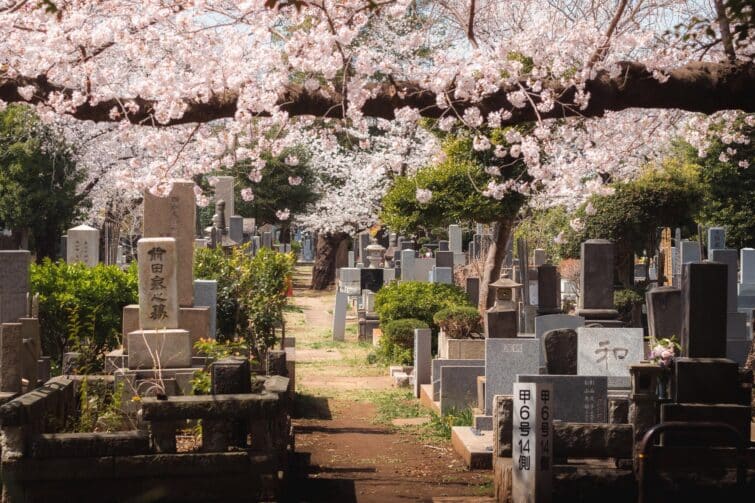 promenade dans le quartier Yanaka à Tokyo, Japon, mars 2022