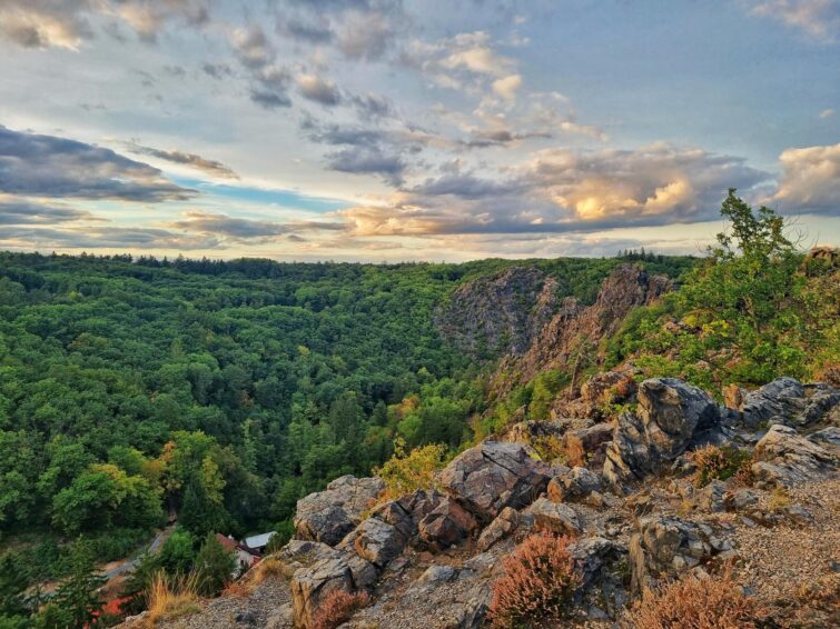 randonnée forêt Divoká Šárka