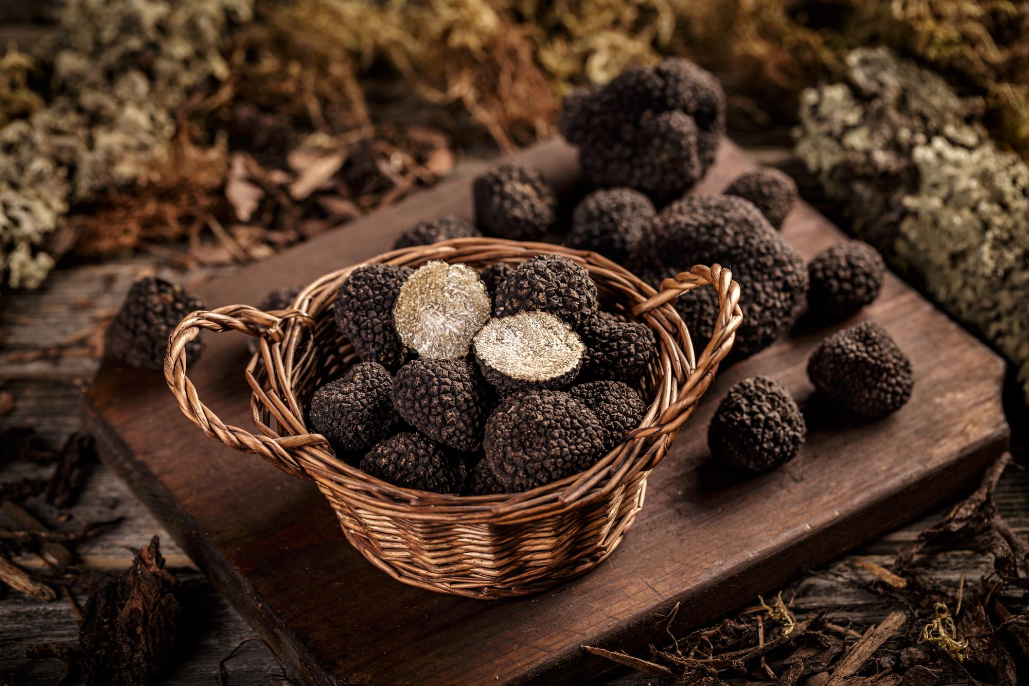 truffe noire
