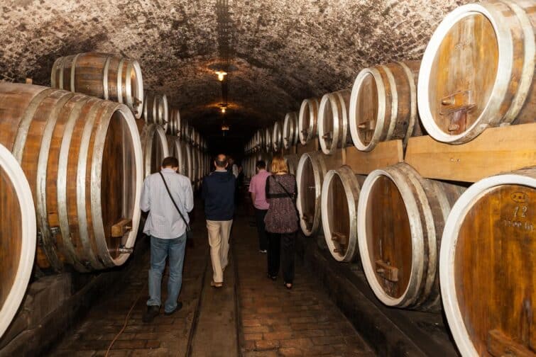 La route des vins à Ilok, Croatie, avec un paysage de vignobles et architecture historique