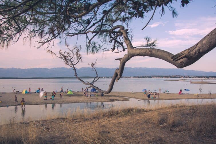 Plage de Ninska Laguna en Croatie avec une branche au premier plan