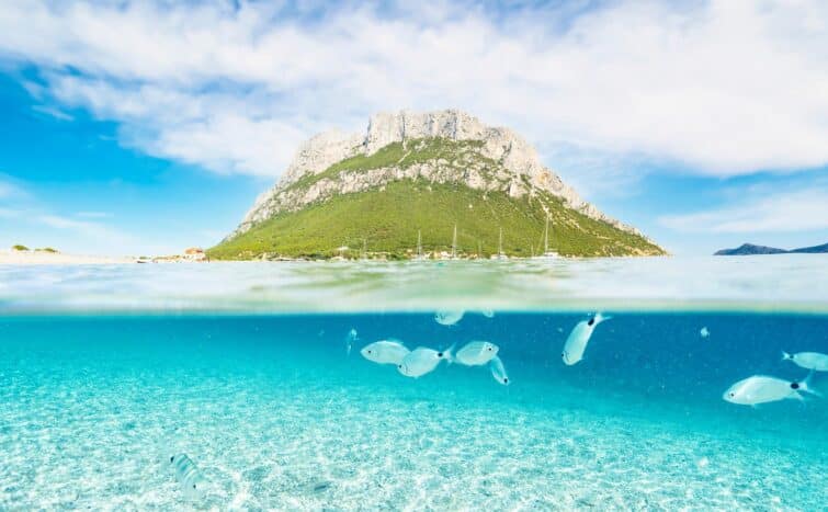 Plongée en apnée dans la zone marine protégée de Tavolara, Sardaigne, avec vue sur et sous l'eau