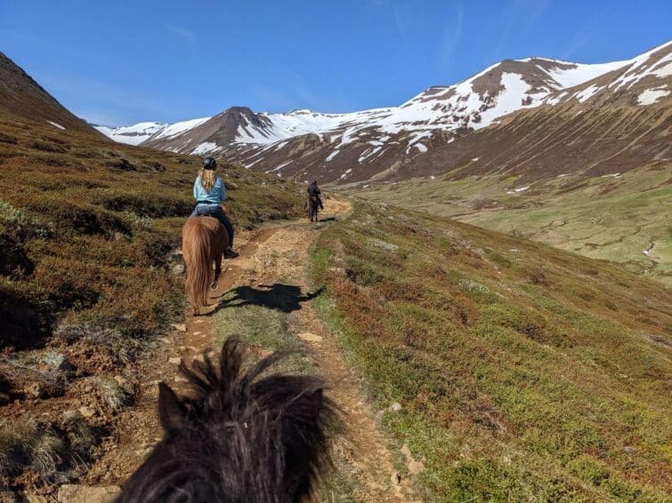 Randonnée à cheval à Eyjafjörður, Islande, montrant des cavaliers et des chevaux dans un paysage montagneux