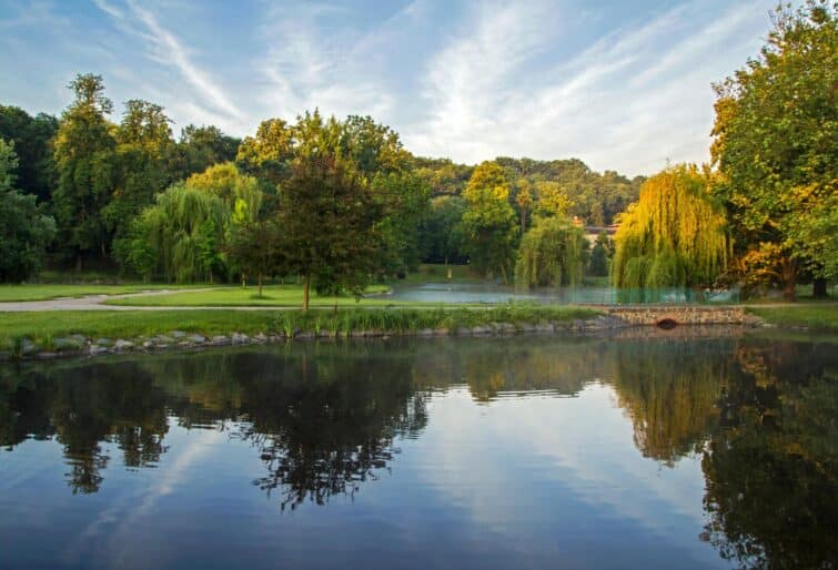 Reflet de l'étang du parc Stromovka à Prague