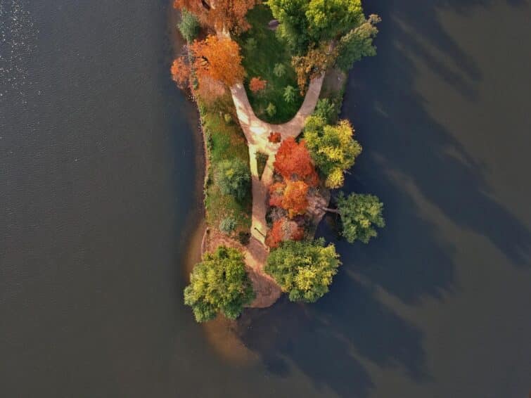 Vue de l'île de Strelecky Ostrov avec des arbres et des visiteurs sur la Vltava à Prague