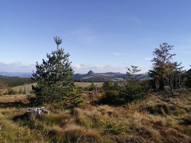 Vue panoramique du Suc de Taupernas en Ardèche, montrant la nature luxuriante et les reliefs montagneux