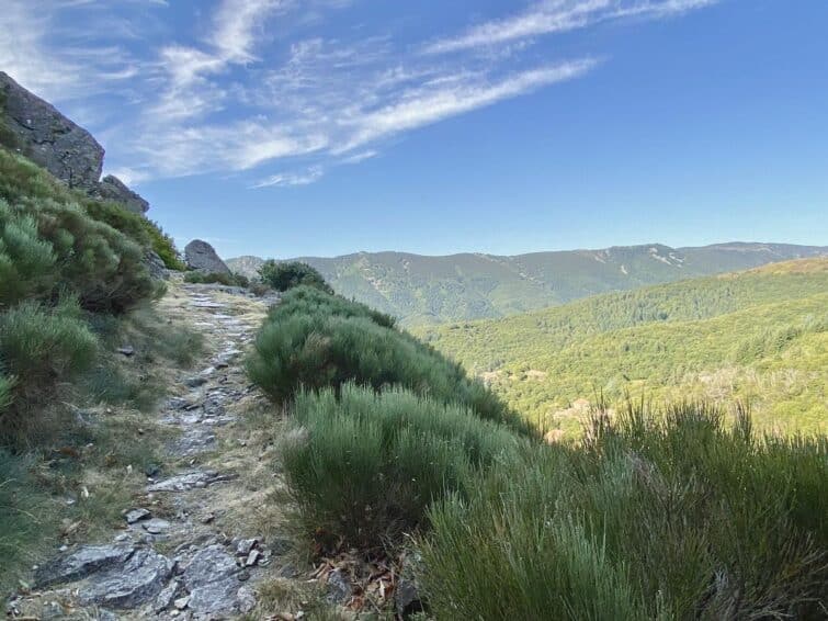 Vue panoramique du sentier des Granges en Ardèche, montrant le chemin forestier et les montagnes environnantes