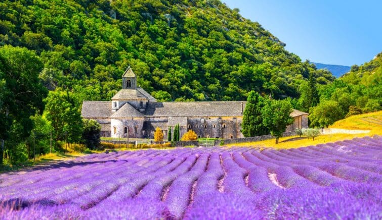 Abbaye de Sénanque et champs de lavande à Gordes, Provence