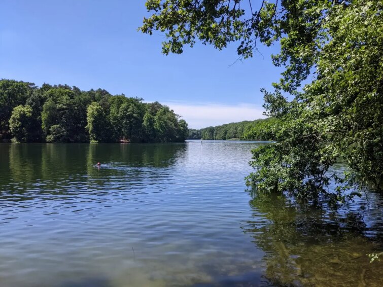 Balade autour du lac Schlachtensee, paysage forestier et eau calme