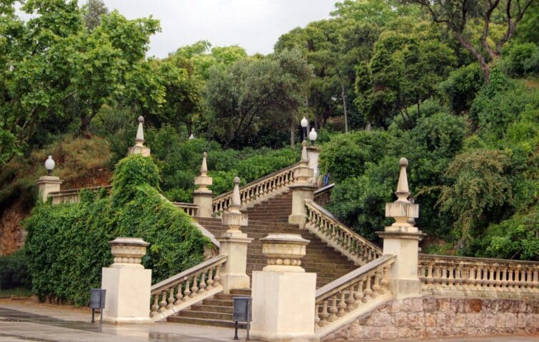 Escaliers en pierre avec végétation au Parc de Montjuïc, Barcelone