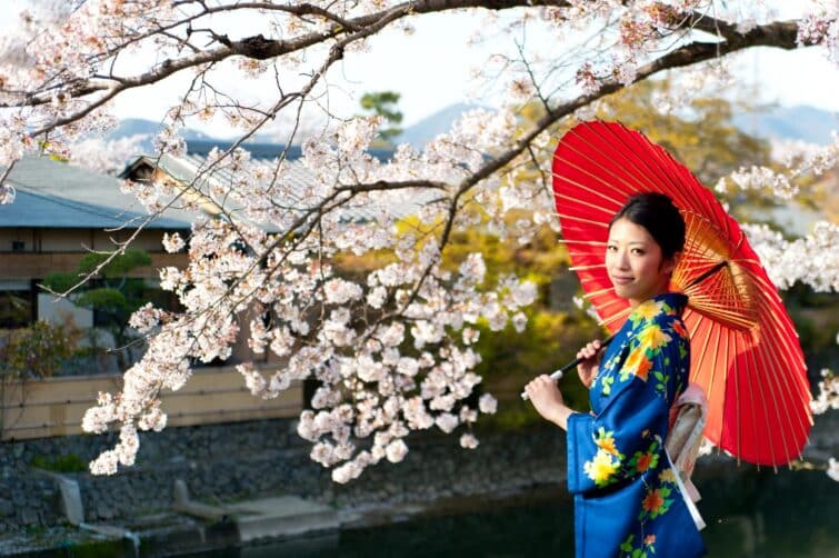 Femme en kimono devant des cerisiers en fleurs au Japon